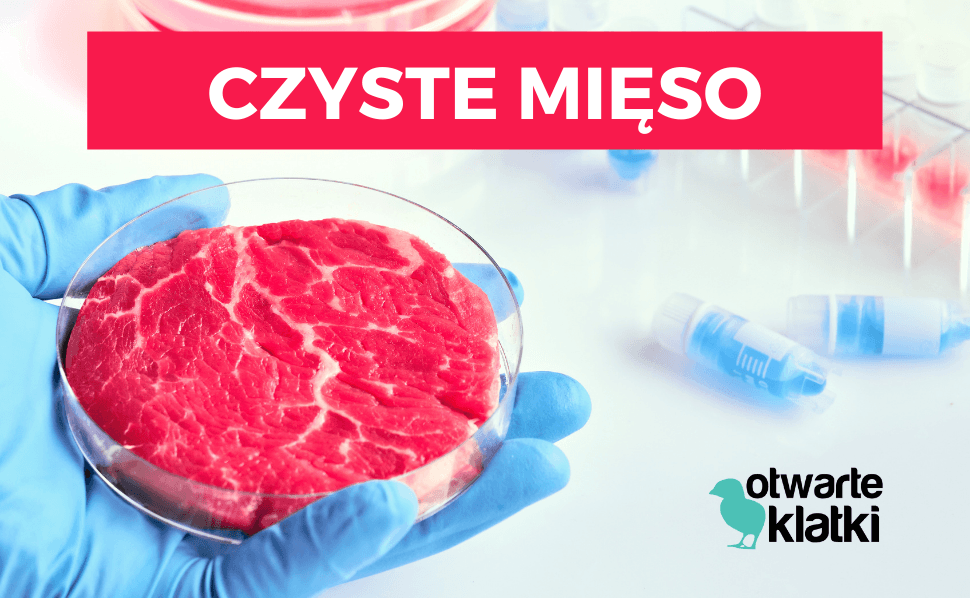 czyste mięso