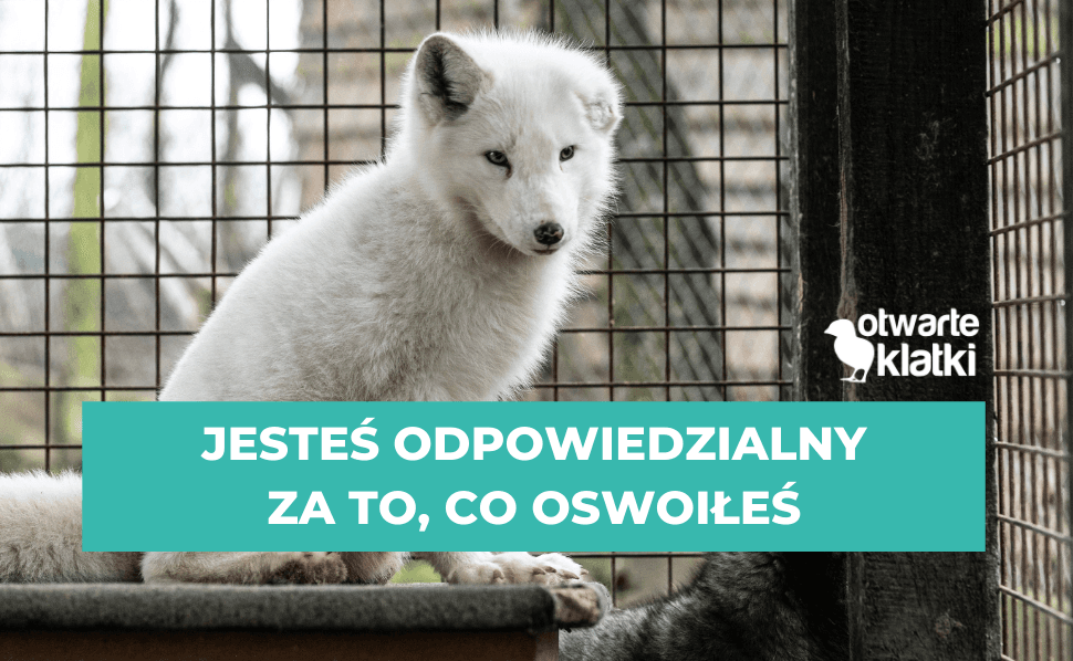 jesteś odpowiedzialny