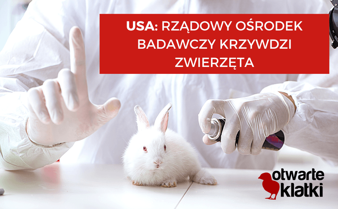 rządowy ośrodek badawczy