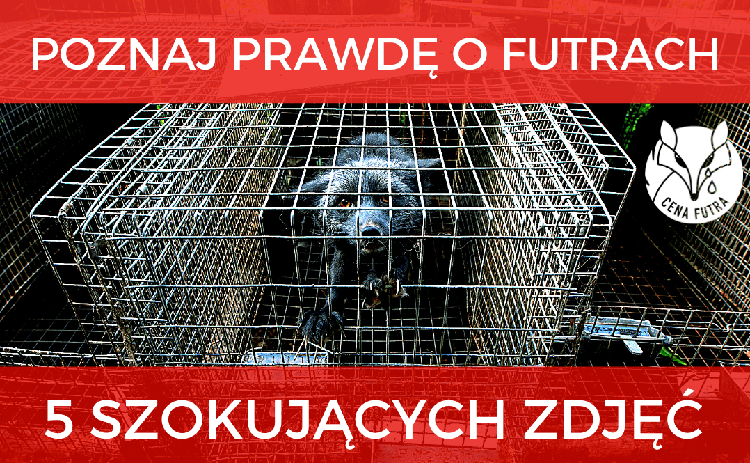 futro naturalne