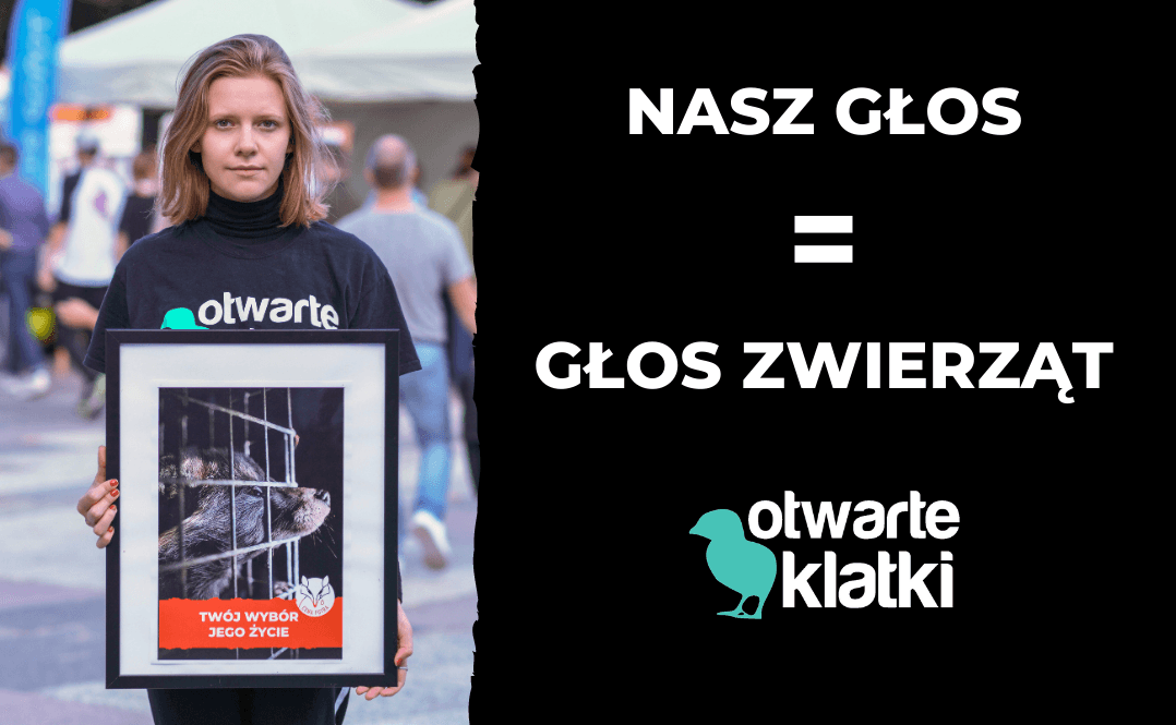 nasz głos głosem zwierząt