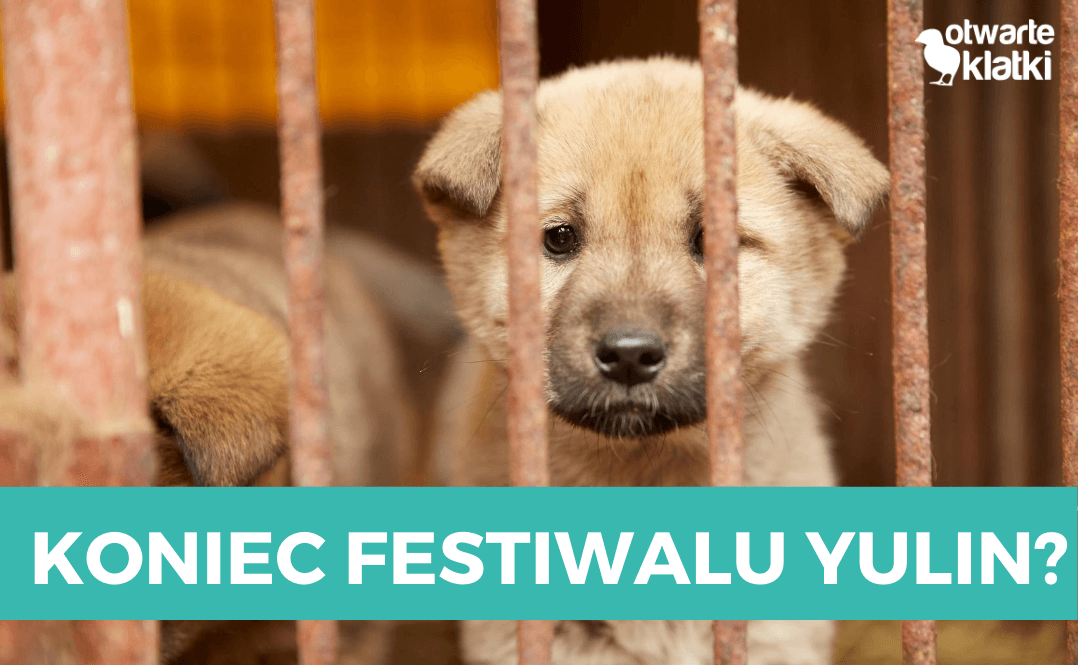 Yulin
