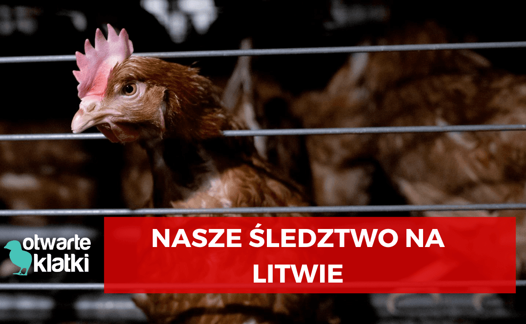 Litwa