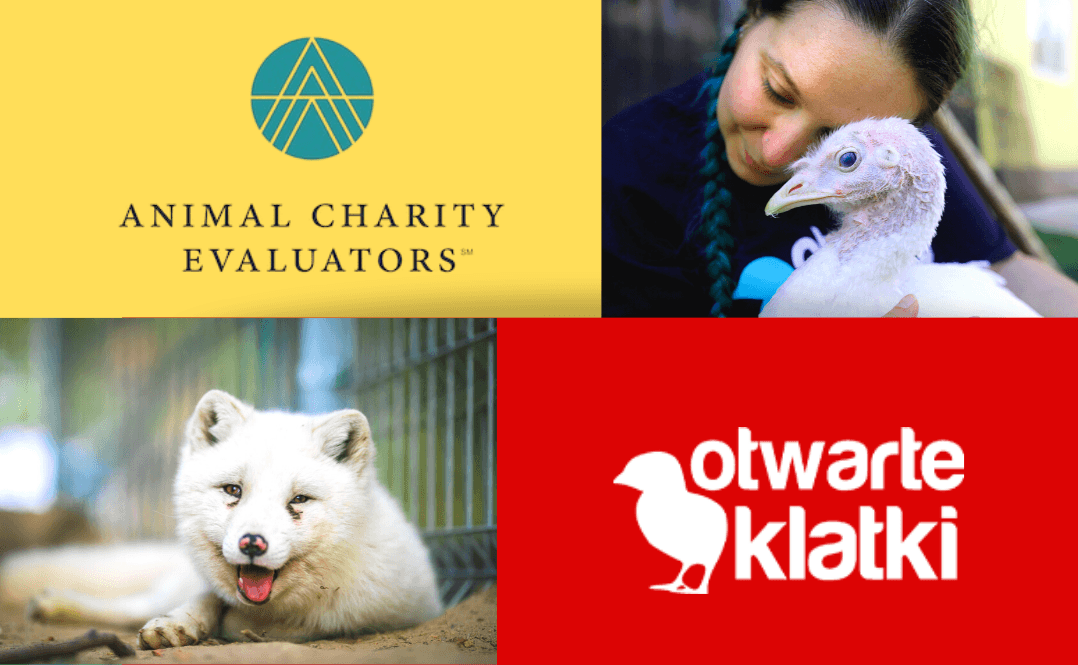 Animal Charity Evaluators