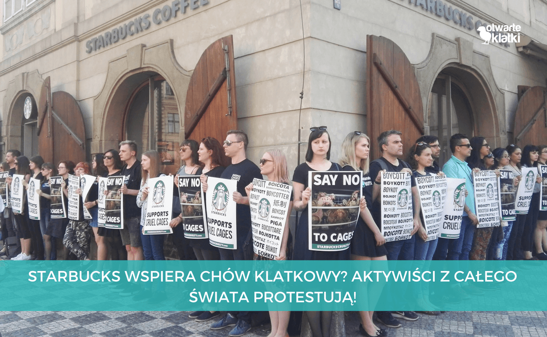 Starbucks protest aktywistów z całego świata
