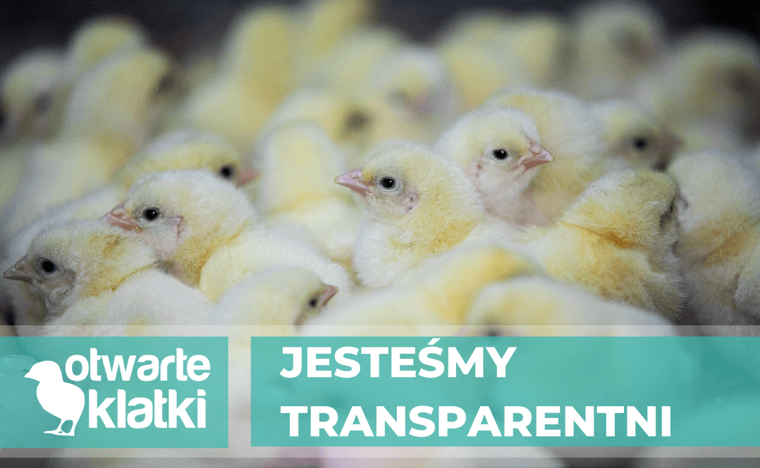 polityka transparentności
