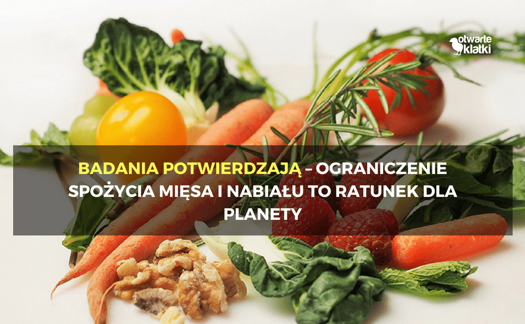 Dieta roślinna ratunkiem dla planety