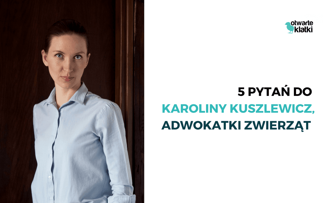 Karolina Kuszlewicz wywiad dla Otwartych Klatek