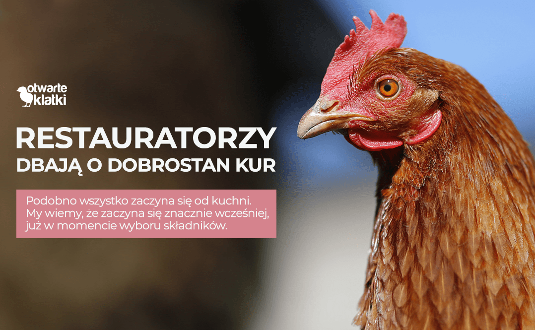 dobrostan zwierząt