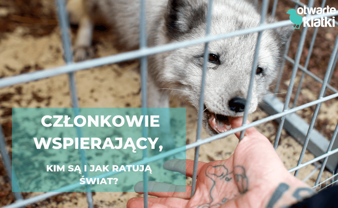 jak zostać członkiem stowarzyszenia