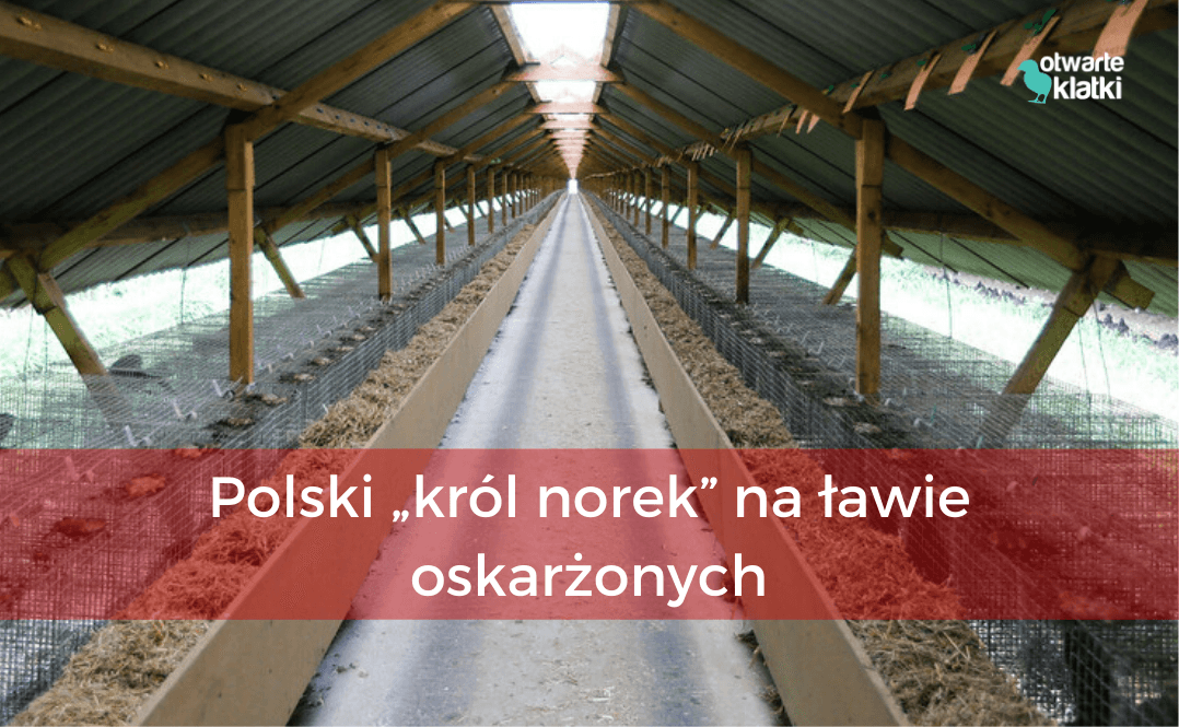 Gąsiorek oskarzony o znieslawienie