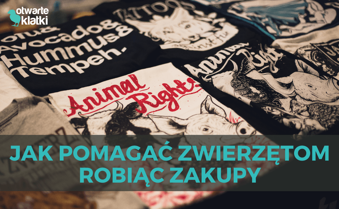 pomagaj robiac zakupy
