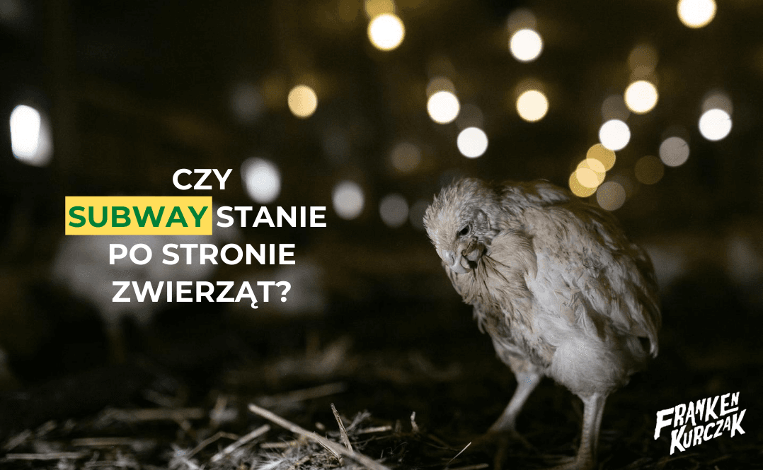 Czy Subway stanie po stronie zwierząt?