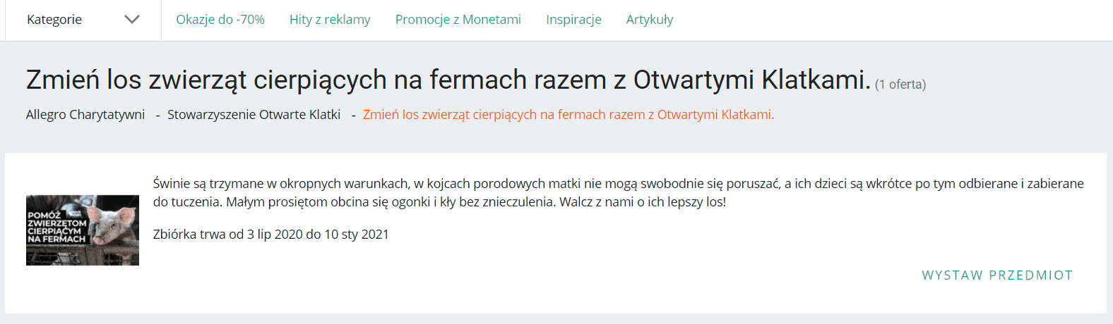 W�z stra|acki, rcznie malowane buty czy rzezby - sprzedajc na Allegro mo|esz pom�c zwierztom!