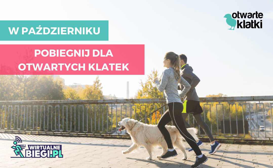 pobiegnij dla Otwartych Klatek