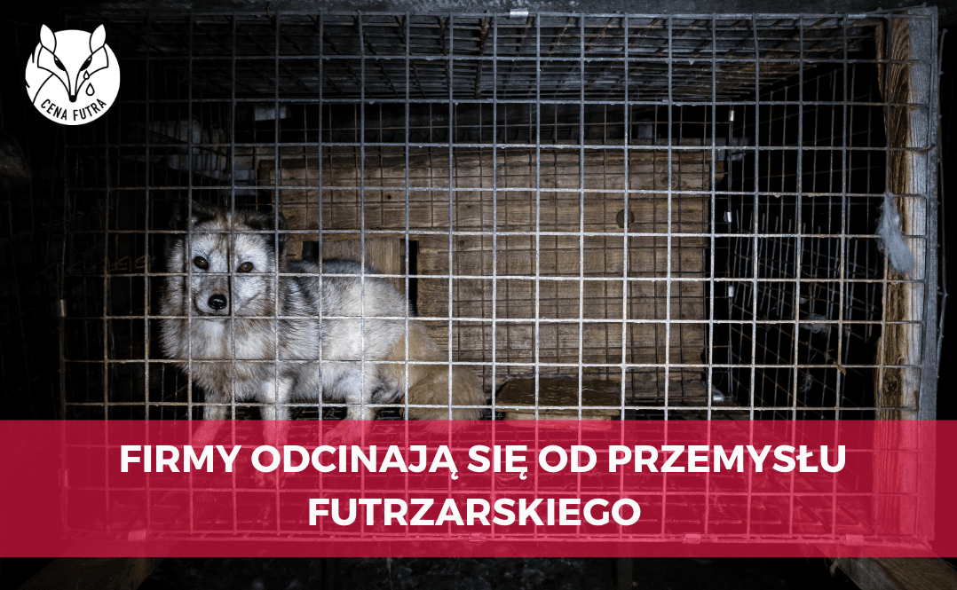 Branża futrzarska