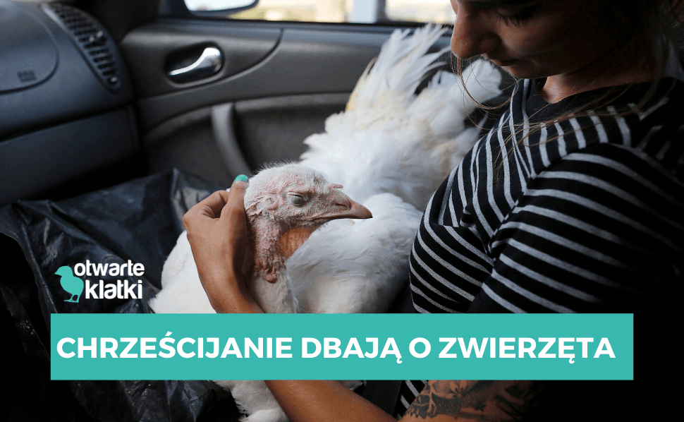 wiara chrześcijańska zwierzęta