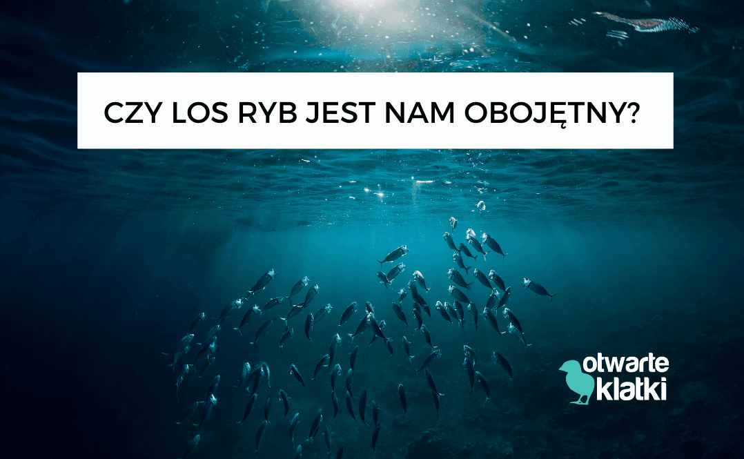 Ryby