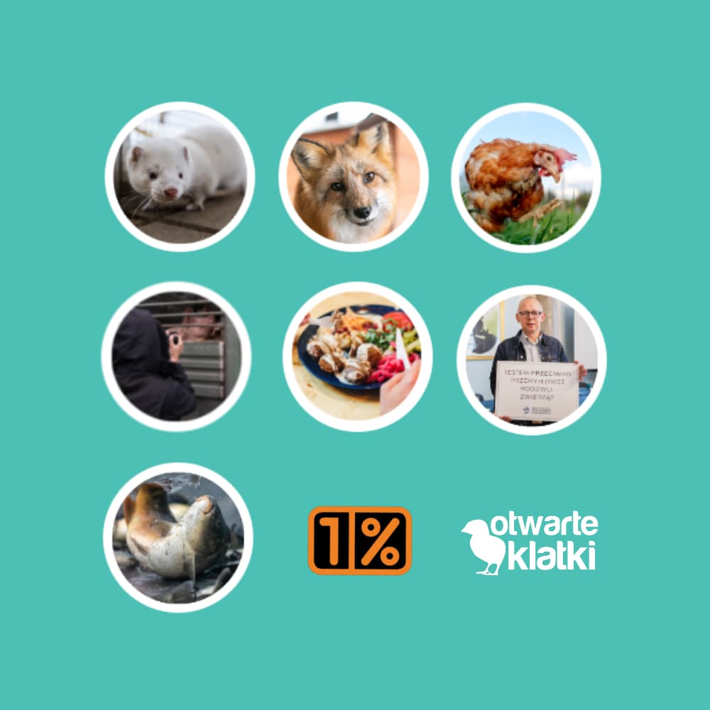 Przekazanie podatku Otwartym Klatkom