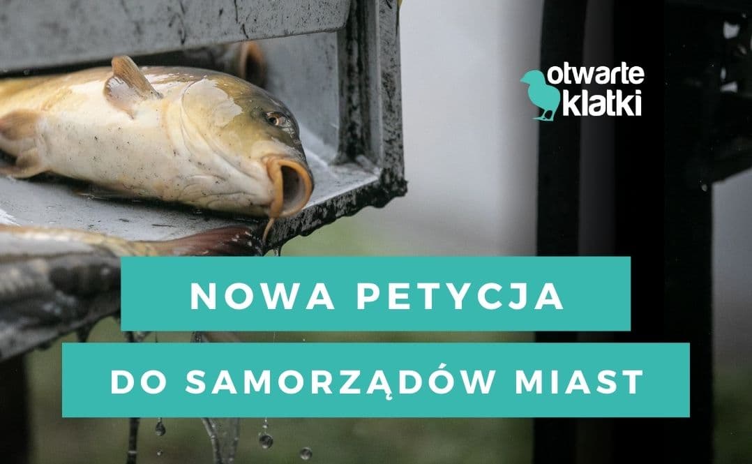 petycja o zakaz sprzedaży żywych karpi