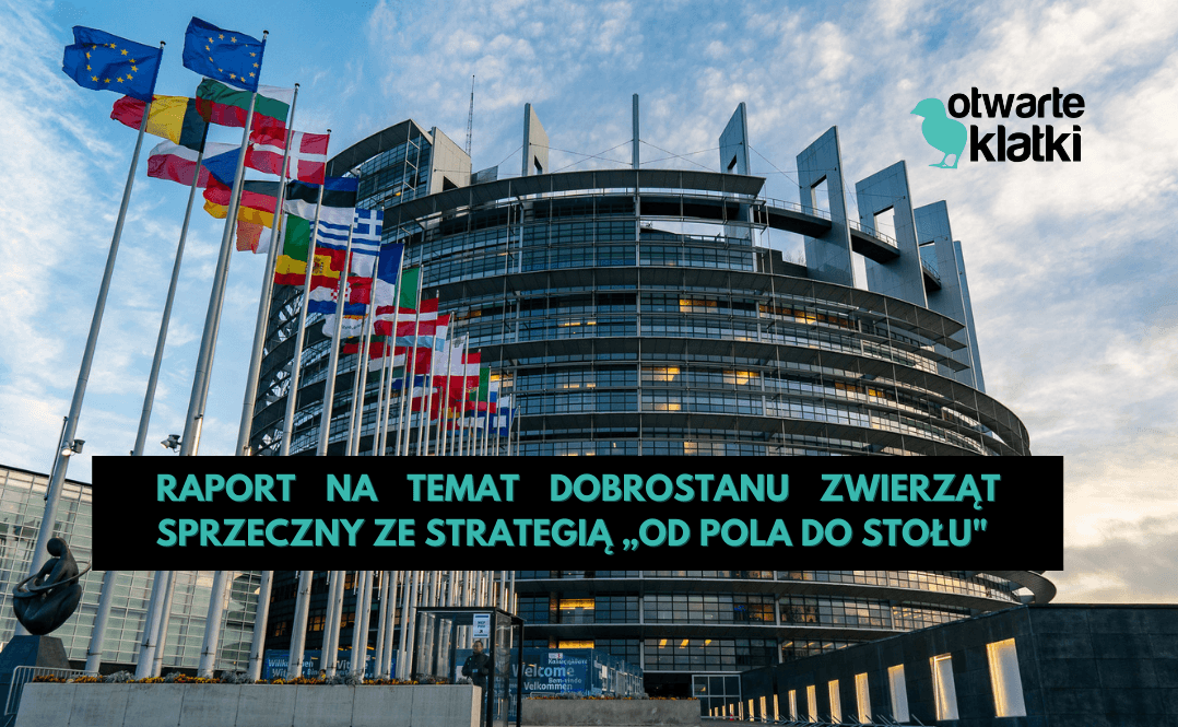 dobrostanu zwierząt