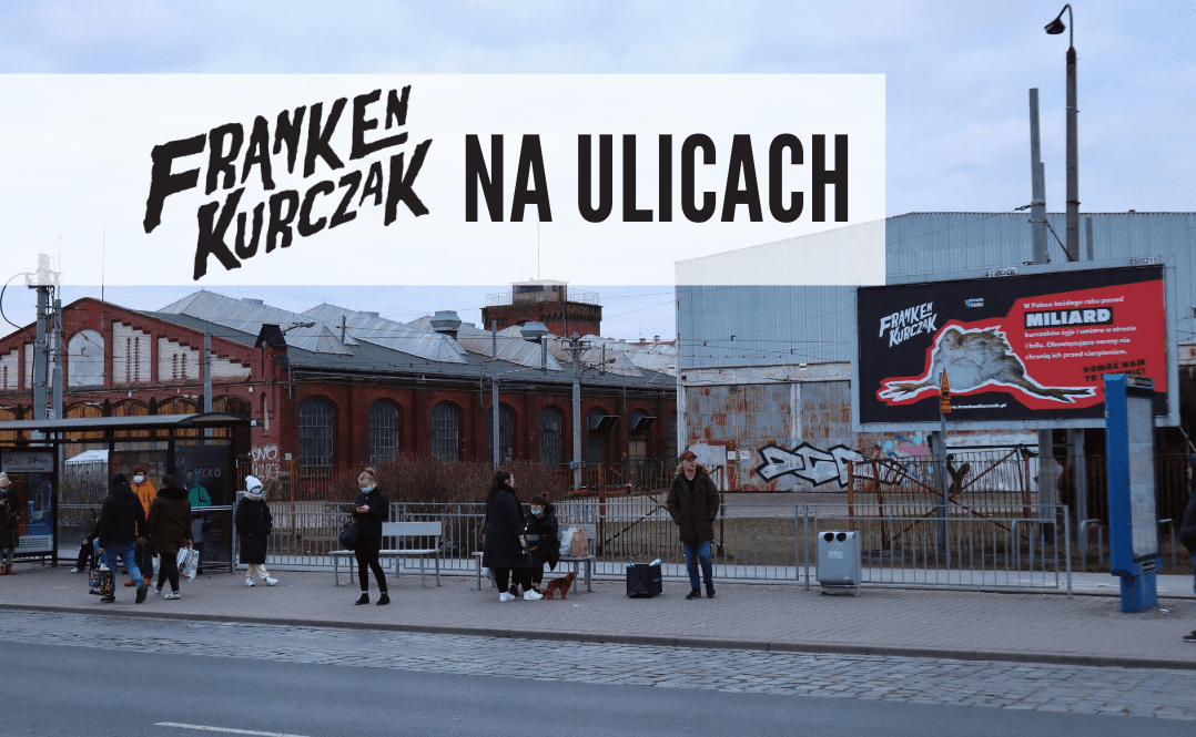 billboardy frankenkurczak