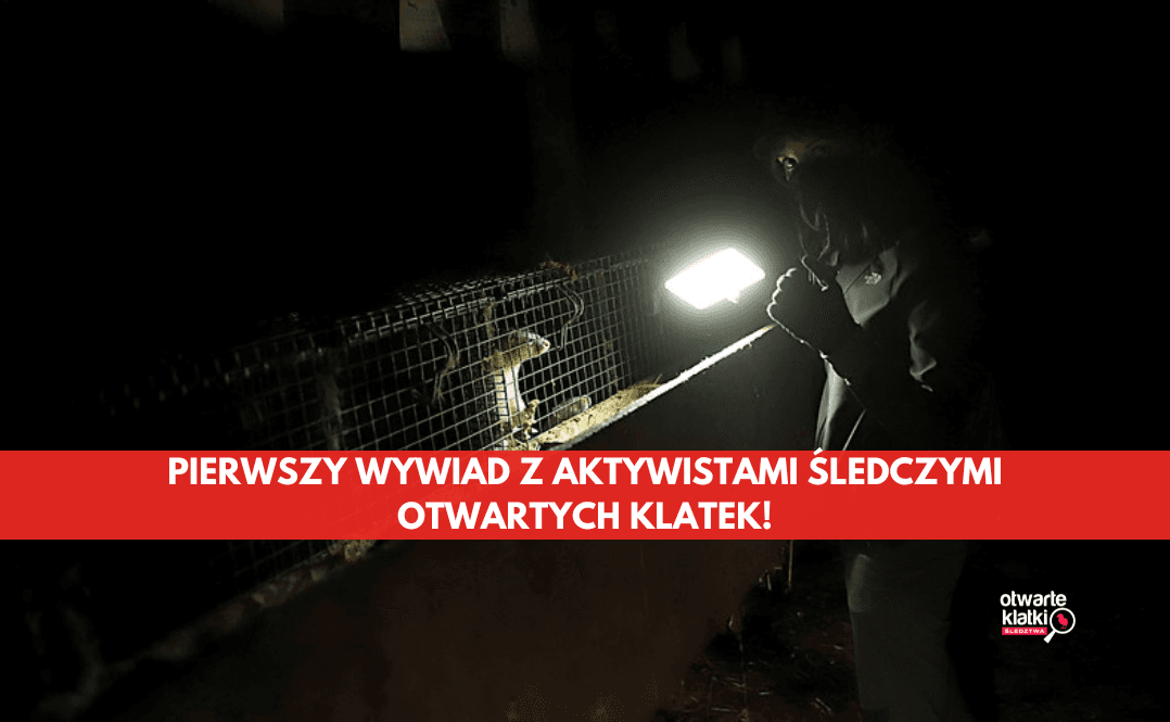 aktywistka sledcza