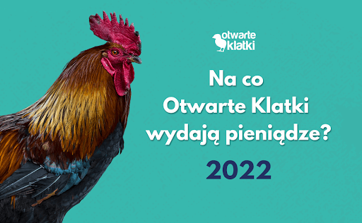 sprawozdanie finansowe