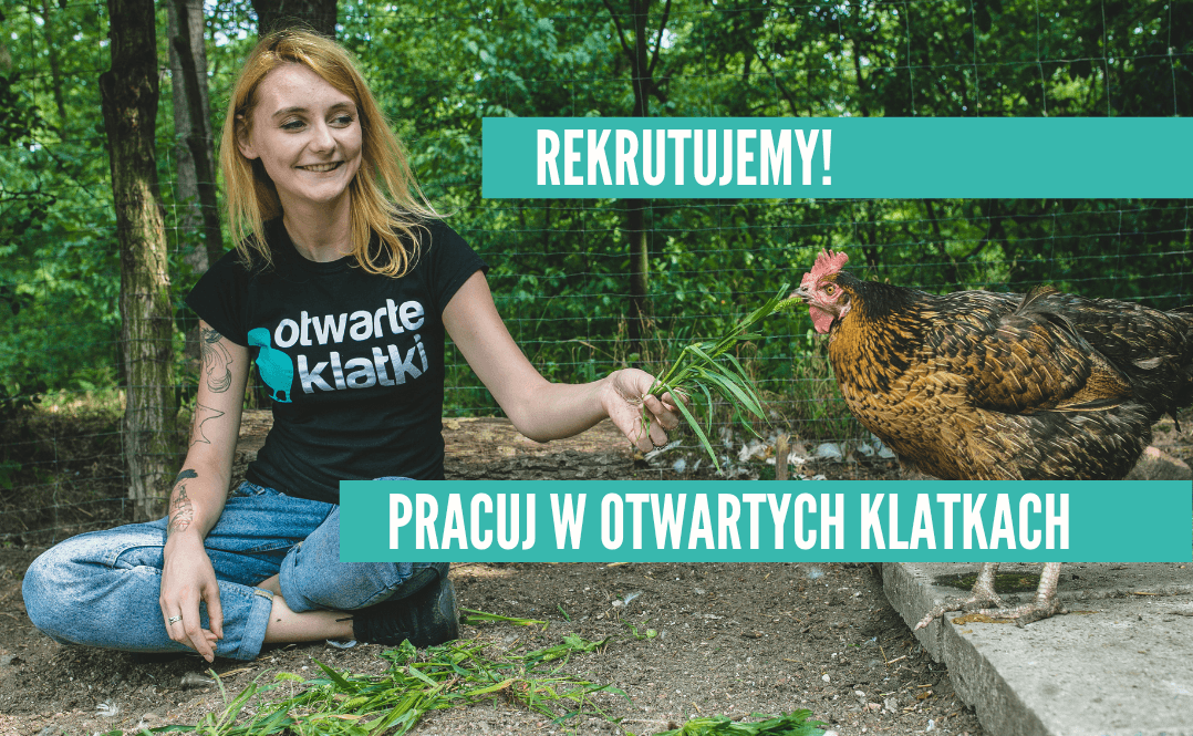 rekrutujemy do filmów i grafiki