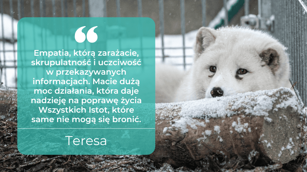 Wyniki ankiety na temat Otwartych Klatek 2023