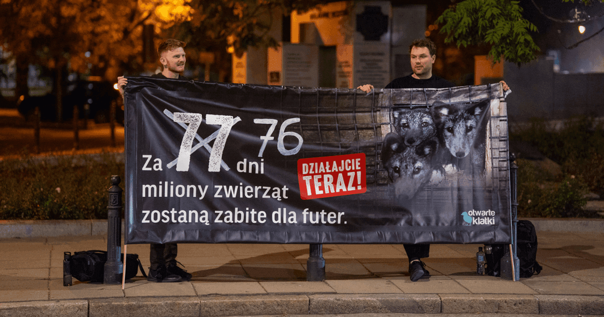 Dwójka aktywistów trzyma baner podczas protestu pod Sejmem. Jest już wieczór, robi się ciemno.