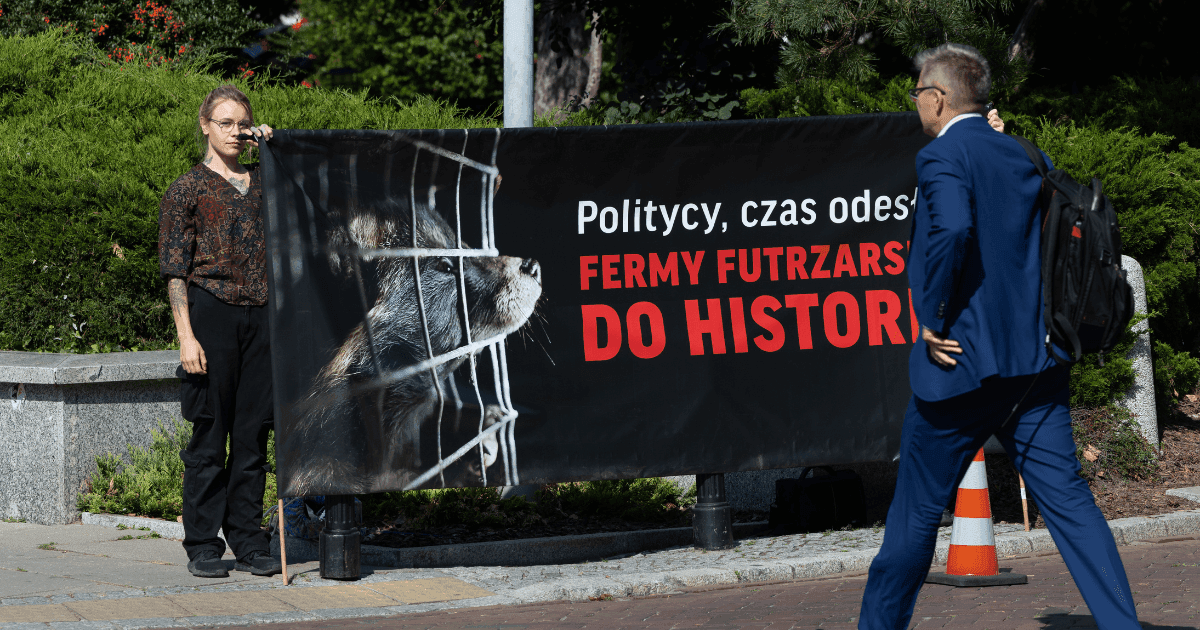 Polityk przechodzi obok baneru trzymanego przez aktywistów podczas protestu pod Sejmem.