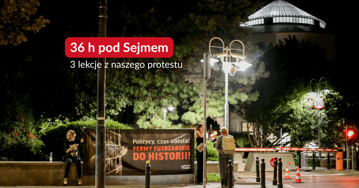 Aktywiści protestujący pod Sejmem trzymają baner z napisem "Politycy, czas odesłać fermy futrzarskie do historii!"