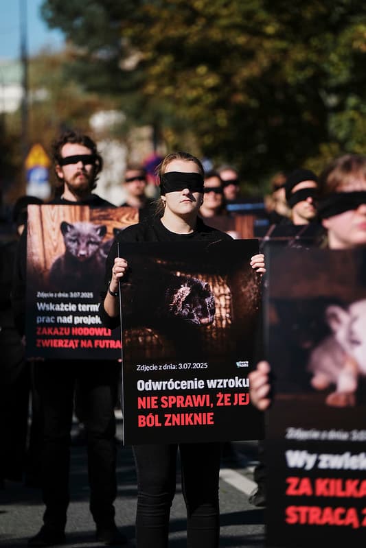 Grupa aktywistów z zawiązanymi oczami trzyma plansze podczas protestu w sprawie zakazu hodowli zwierząt na futra.