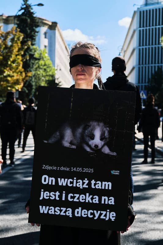 Aktywistka w czarnej opasce na oczy trzyma planszę ze zdjęciem małego lisa w klatce i napisem: On wciąż tam jest i czeka na waszą decyzję.