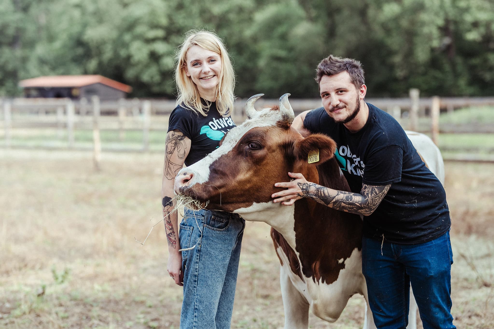 Dwie osoby przytulające krowę pasącą się na łące