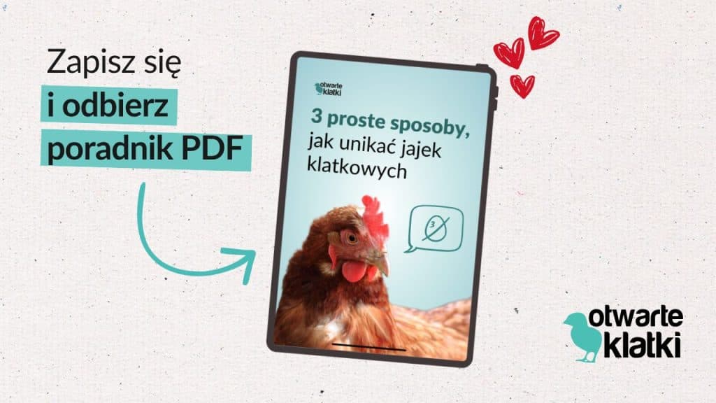 Pobierz poradnik